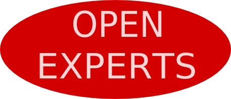 Open Experts Services Ltd.